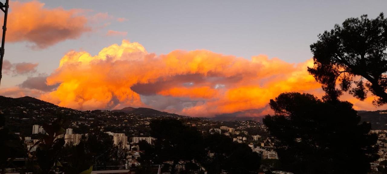 Chambre D Hote Avec Clim Terrasse Et Petit Dejeuner Hauteurs De Nice Buitenkant foto