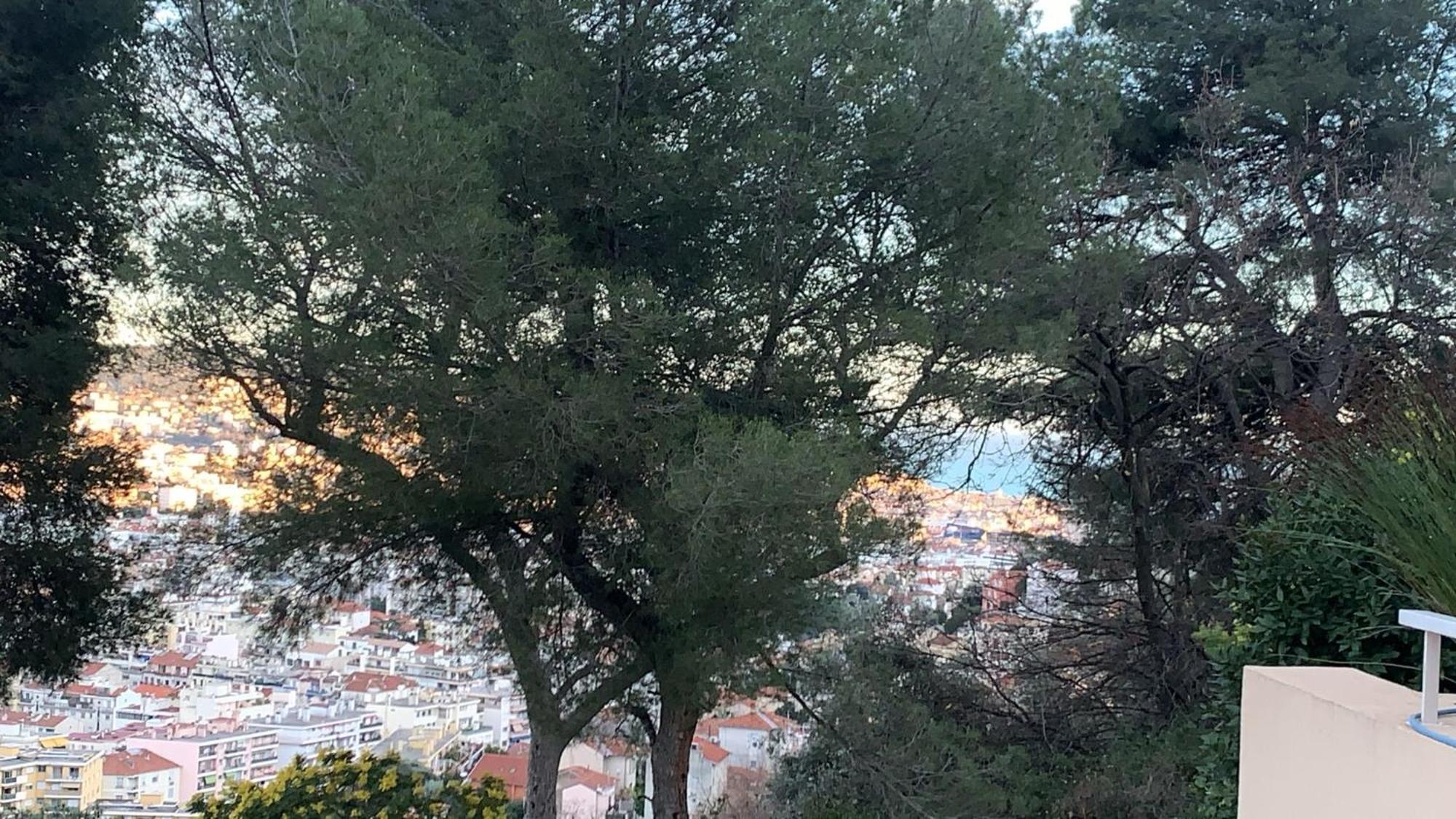 Chambre D Hote Avec Clim Terrasse Et Petit Dejeuner Hauteurs De Nice Buitenkant foto